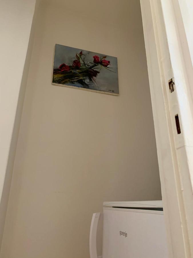 Cozy Apartment In The City Centre Next To Dom Square Szeged Eksteriør bilde